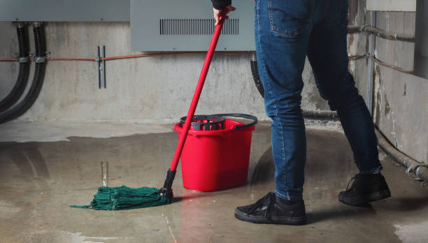 Best Emergency water damage restoration  in Senath, MO