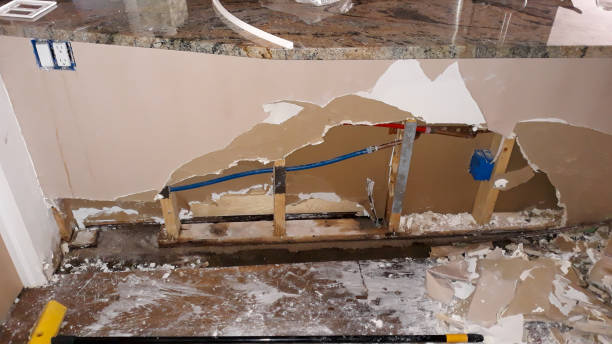 Best Water damage restoration specialists  in Senath, MO