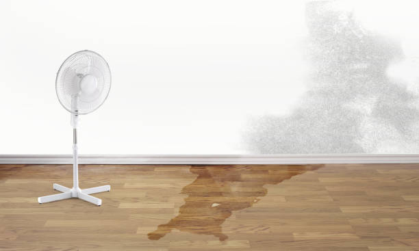 Water damage restoration insurance claims in MO