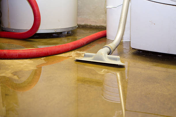 Best Local water damage restoration  in Senath, MO