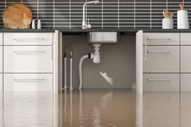 Best Basement water damage restoration  in Senath, MO