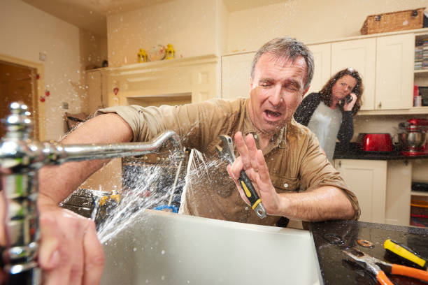 Best Professional water damage repair  in Senath, MO